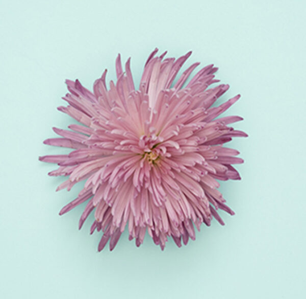 portfolio7 portfolio7